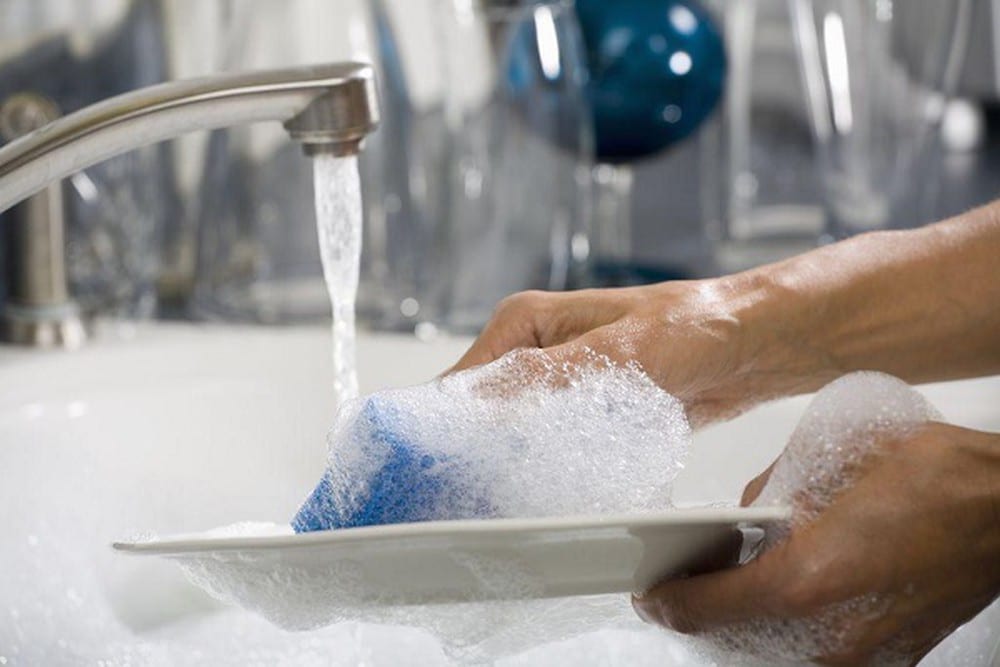 Miếng rửa chén chứa nhiều vi khuẩn nhất